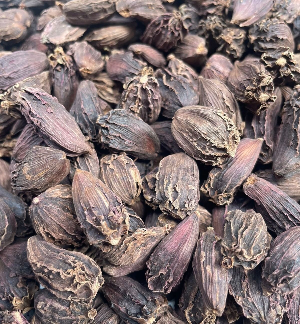 Black Cardamom